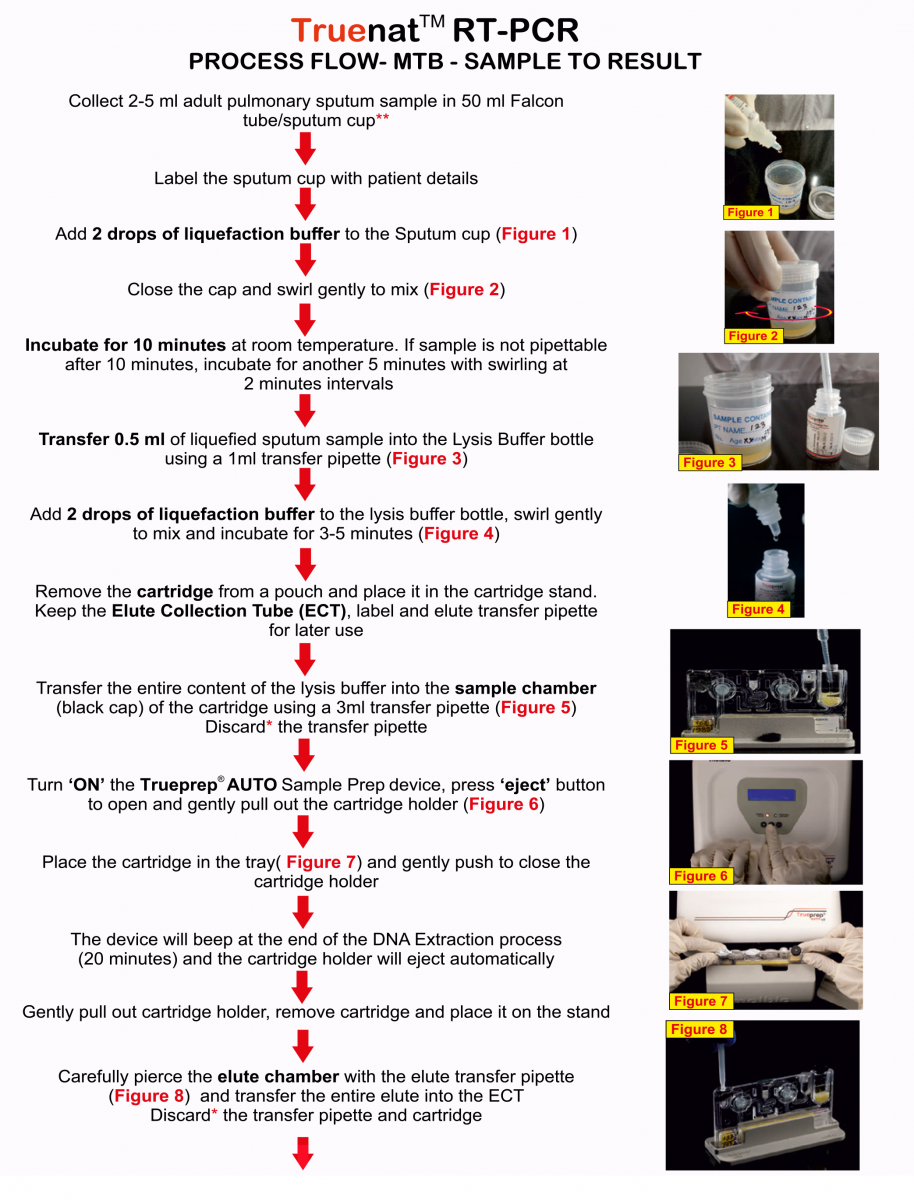 overview-of-the-truenat-testing-process-knowledge-base